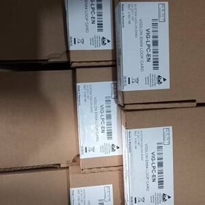gent vig lpc en vigilon loop card (en54)