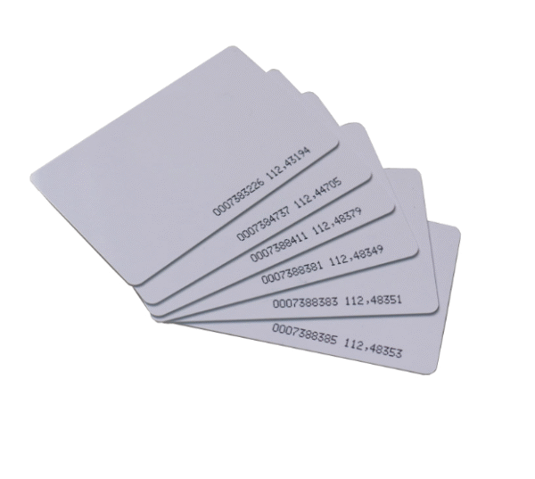 Dual Frequency RFID Card – EM 125kHz + MIFARE 13.56MHz (Thin PVC ...